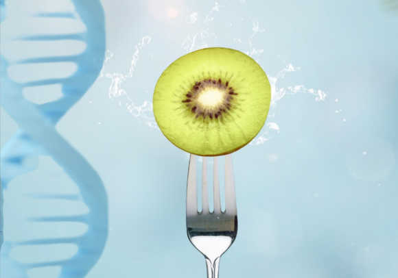 Test DNA Dieta